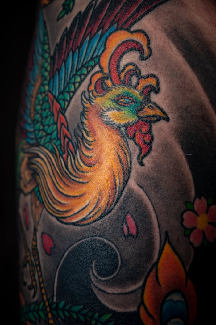 our-services-1 Close-up of a vibrant phoenix tattoo showcasing creative artwork on skin.